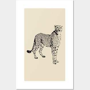 Cheetah Outline Drawing Posters and Art